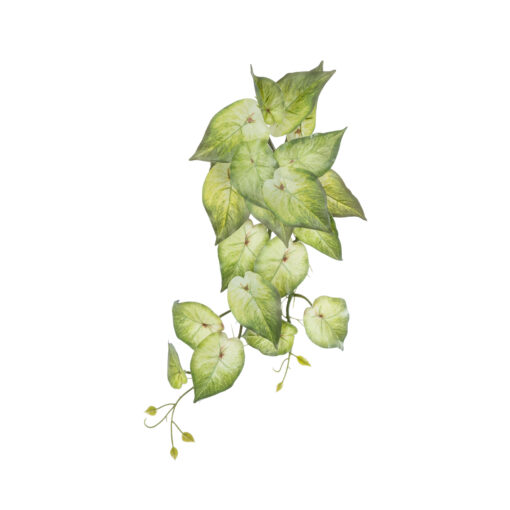GloboStar® GloboStar® Artificial Garden SYNGONIUM HANGING PLANT 20598 Τεχνητό Διακοσμητικό Κρεμαστό Φυτό Συγκόνιο Υ50cm