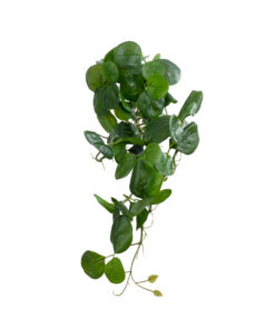 GloboStar® GloboStar® Artificial Garden HANGING PEPEROMIA 20599 Τεχνητό Διακοσμητικό Κρεμαστό Φυτό Πεπερόμια Μ30 x Π31 x Υ50cm