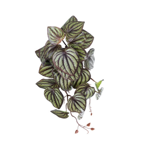 GloboStar® GloboStar® Artificial Garden PEPEROMIA HANGING PLANT 20602 Τεχνητό Διακοσμητικό Κρεμαστό Φυτό Πεπερόμια Υ45cm