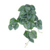 GloboStar® GloboStar® Artificial Garden PEPEROMIA HANGING PLANT 20603 Τεχνητό Διακοσμητικό Κρεμαστό Φυτό Πεπερόμια Υ45cm
