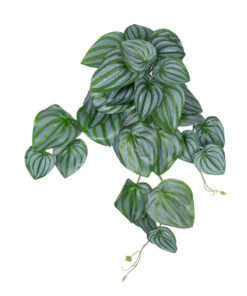 GloboStar® GloboStar® Artificial Garden PEPEROMIA HANGING PLANT 20603 Τεχνητό Διακοσμητικό Κρεμαστό Φυτό Πεπερόμια Υ45cm