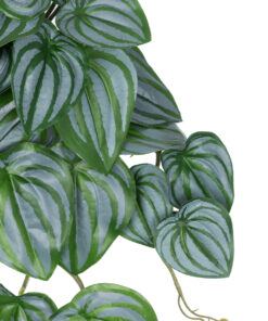 Alternative view of GloboStar® Artificial Garden PEPEROMIA HANGING PLANT 20603 Τεχνητό Διακοσμητικό Κρεμαστό Φυτό Πεπερόμια Υ45cm