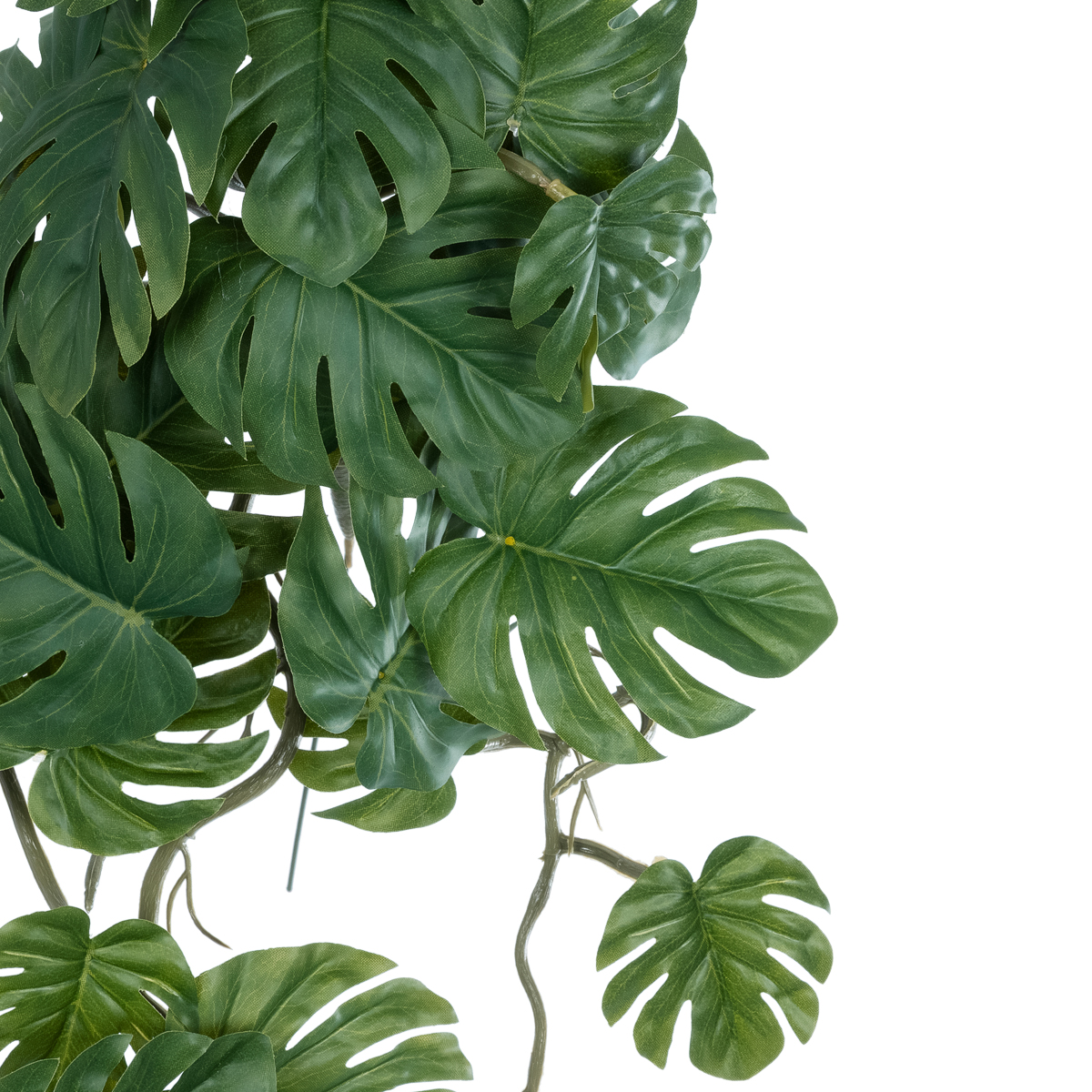 GloboStar® Artificial Garden MONSTERA HANGING PLANT 20605 - Τεχνητό Διακοσμητικό Κρεμαστό Φυτό Μονστέρα Υ45cm 4 GloboStar® Artificial Garden MONSTERA HANGING PLANT 20605 - Τεχνητό Διακοσμητικό Κρεμαστό Φυτό Μονστέρα Υ45cm - Image 2