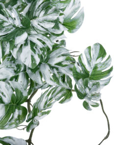 Alternative view of GloboStar® Artificial Garden ALBINO MONSTERA HANGING PLANT 20606 - Τεχνητό Διακοσμητικό Κρεμαστό Φυτό Μονστέρα Υ45cm