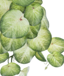 Alternative view of GloboStar® Artificial Garden SYNGONIUM HANGING PLANT 20607 Τεχνητό Διακοσμητικό Κρεμαστό Φυτό Συγκόνιο Υ45cm