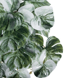 Alternative view of GloboStar® Artificial Garden ALBINO MONSTERA HANGING PLANT 20609 - Τεχνητό Διακοσμητικό Κρεμαστό Φυτό Μονστέρα Υ45cm