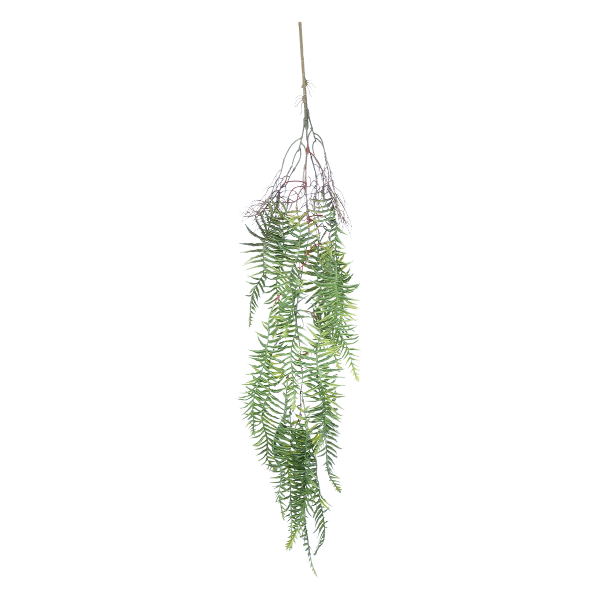 GloboStar® Artificial Garden ASPARAGUS HANGING PLANT 20619 Τεχνητό Διακοσμητικό Κρεμαστό Φυτό Σπαράγγι Υ110cm 3 GloboStar® GloboStar® Artificial Garden ASPARAGUS HANGING PLANT 20619 Τεχνητό Διακοσμητικό Κρεμαστό Φυτό Σπαράγγι Υ110cm