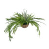 GloboStar® GloboStar® Artificial Garden FERN HANGING PLANT 20624 Τεχνητό Κρεμαστό Διακοσμητικό Φυτό Φτέρης Y45cm