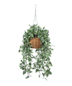 Alternative view of GloboStar® Artificial Garden GOLDEN BELL WILLOW HANGING PLANT 20627 Τεχνητό Κρεμαστό Διακοσμητικό Φυτό Ιτίας  Y80cm