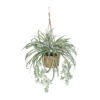 GloboStar® GloboStar® Artificial Garden CHLOROPHYTUM COMOSUM HANGING PLANT 20638 Τεχνητό Κρεμαστό Διακοσμητικό Χλωρόφυτο  Y50cm