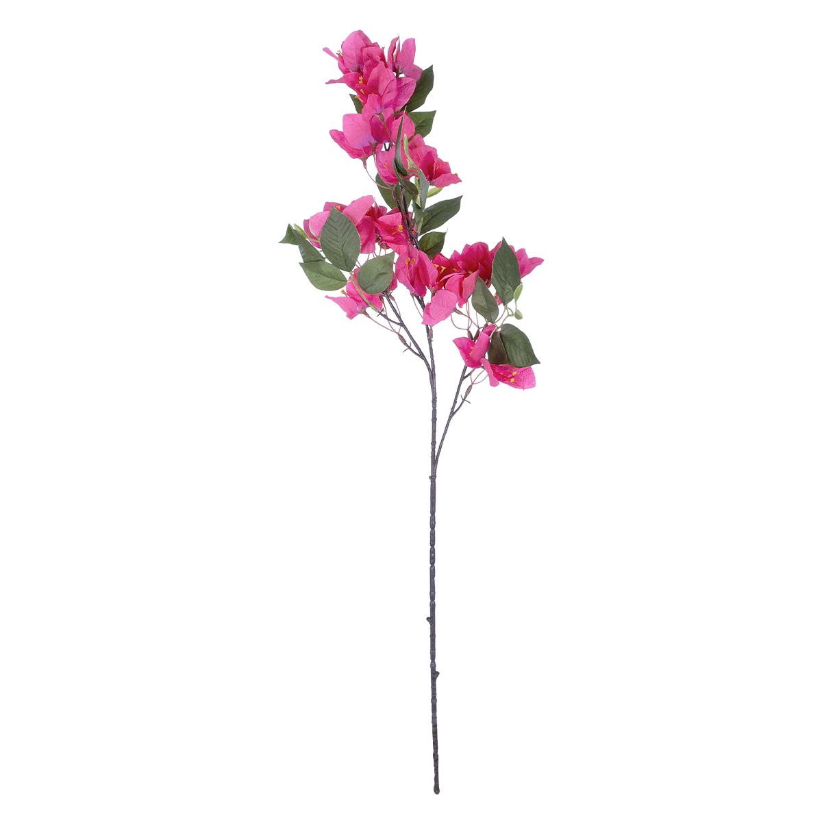 GloboStar® Artificial Garden BOUGAUVILLEA BRANCH 20643 Τεχνητό Διακοσμητικό Κλαδί Μπουκανβίλιας Φουξ Y80cm 3 GloboStar® GloboStar® Artificial Garden BOUGAUVILLEA BRANCH 20643 Τεχνητό Διακοσμητικό Κλαδί Μπουκανβίλιας Φουξ Y80cm