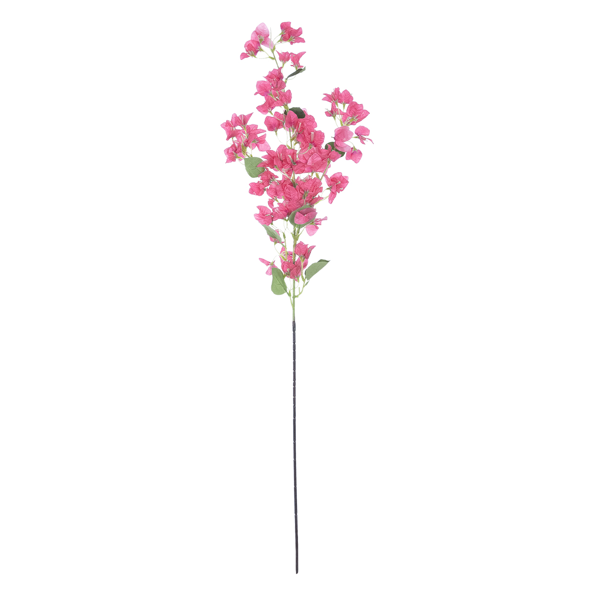 GloboStar® Artificial Garden BOUGAUVILLEA BRANCH 20649 Τεχνητό Διακοσμητικό Κλαδί Μπουκανβίλιας Φουξ Y115cm 3 GloboStar® GloboStar® Artificial Garden BOUGAUVILLEA BRANCH 20649 Τεχνητό Διακοσμητικό Κλαδί Μπουκανβίλιας Φουξ Y115cm
