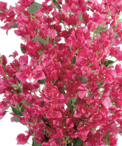 Alternative view of GloboStar® Artificial Garden BOUGANVILLEA 20664 Τεχνητό Διακοσμητικό Φυτό με Ανθη Μπουκανβίλιας Φουξ Υ150cm