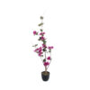 GloboStar® GloboStar® Artificial Garden BOUGAUVILLEA 20673 Τεχνητό Διακοσμητικό Φυτό με Ανθη Μπουκανβίλιας Φουξ Υ90cm