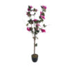 GloboStar® GloboStar® Artificial Garden BOUGAUVILLEA 20674 Τεχνητό Διακοσμητικό Φυτό με Ανθη Μπουκανβίλιας Φουξ Υ120cm