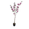 GloboStar® GloboStar® Artificial Garden BOUGAUVILLEA 20675 Τεχνητό Διακοσμητικό Φυτό με Ανθη Μπουκανβίλιας Φουξ Υ150cm