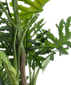 Alternative view of GloboStar® Artificial Garden PHILODENDRON 20684 Τεχνητό Διακοσμητικό Φυτό Φυλλόδενδρο Υ150cm