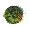 GloboStar® GloboStar® Artificial Garden VARIOUS PLANTS ROUND WALL DISC 20688 Τεχνητό Διακοσμητικό Στρογγυλό Πάνελ Φυλλωσιάς - Κάθετος Κήπος Μιξ Μ50 x Π50 x Υ23cm