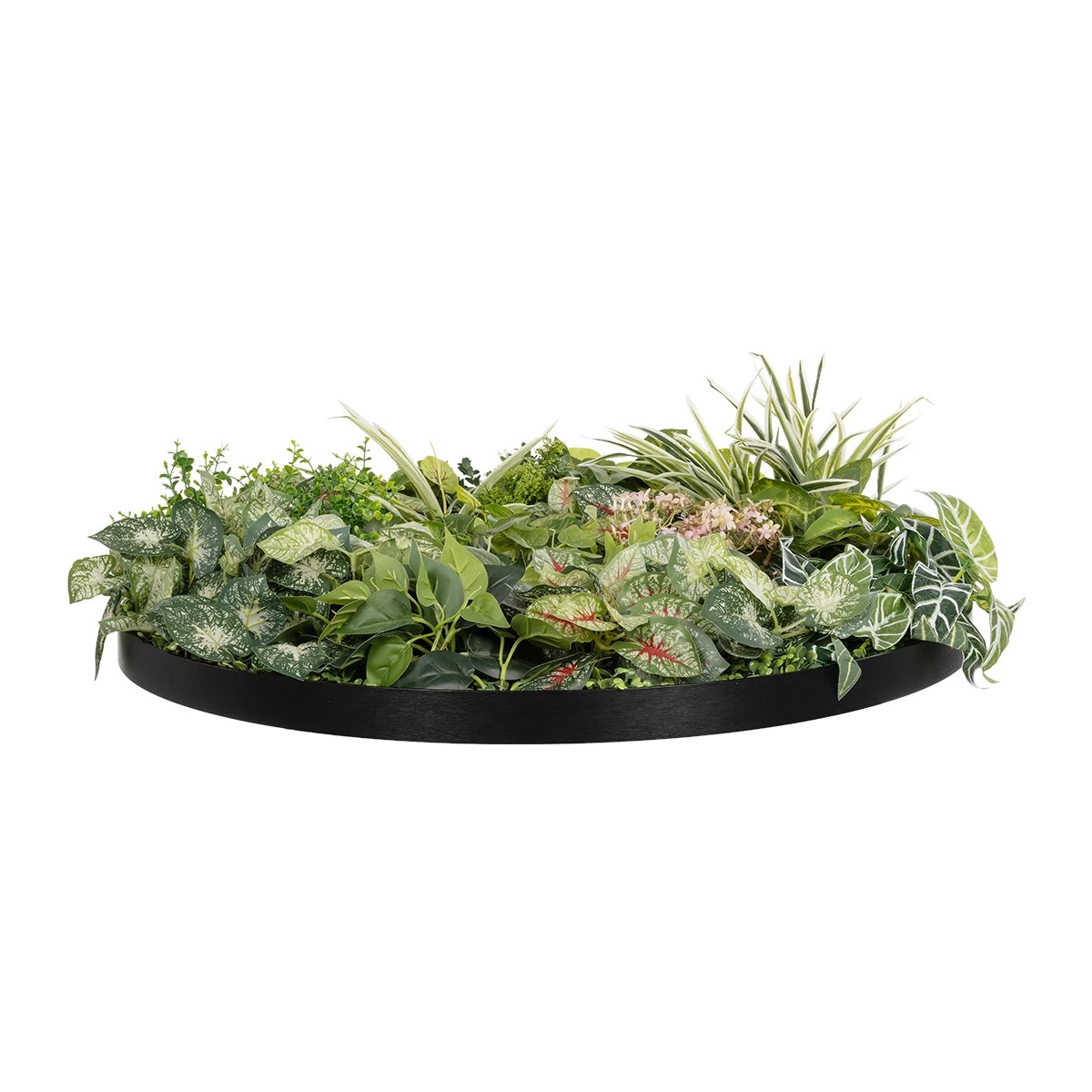 GloboStar® Artificial Garden VARIOUS PLANTS ROUND WALL DISC 20690 Τεχνητό Διακοσμητικό Στρογγυλό Πάνελ Φυλλωσιάς - Κάθετος Κήπος Μιξ Μ80 x Π80 x Υ20cm 3 GloboStar® Artificial Garden VARIOUS PLANTS ROUND WALL DISC 20690 Τεχνητό Διακοσμητικό Στρογγυλό Πάνελ Φυλλωσιάς - Κάθετος Κήπος Μιξ Μ80 x Π80 x Υ20cm - Image 2