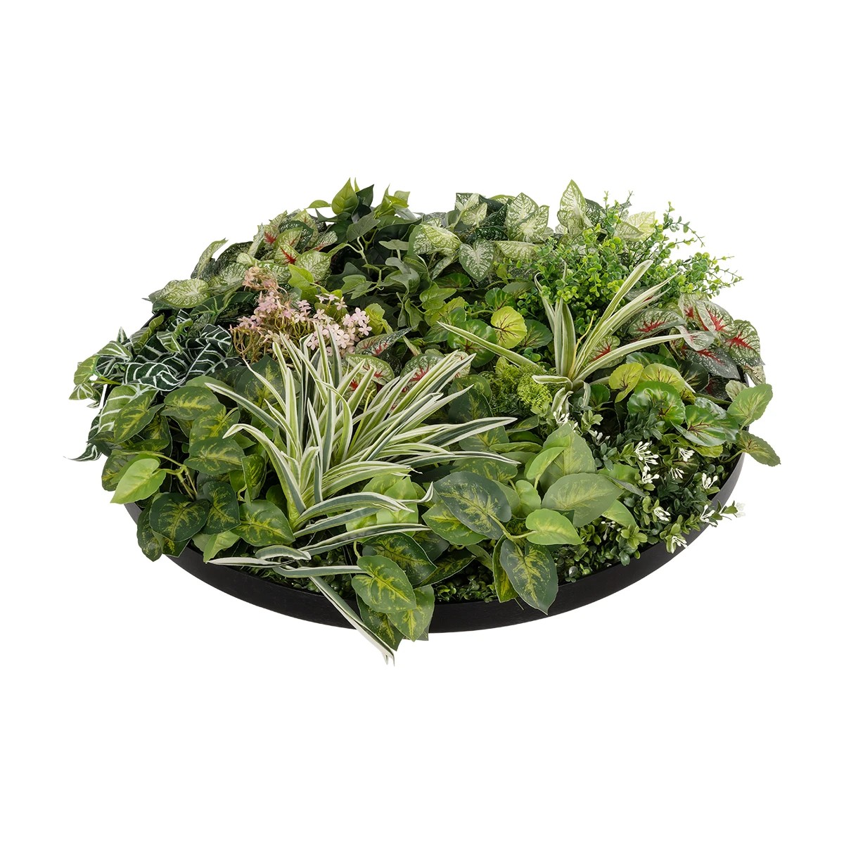 GloboStar® Artificial Garden VARIOUS PLANTS ROUND WALL DISC 20690 Τεχνητό Διακοσμητικό Στρογγυλό Πάνελ Φυλλωσιάς - Κάθετος Κήπος Μιξ Μ80 x Π80 x Υ20cm 4 GloboStar® Artificial Garden VARIOUS PLANTS ROUND WALL DISC 20690 Τεχνητό Διακοσμητικό Στρογγυλό Πάνελ Φυλλωσιάς - Κάθετος Κήπος Μιξ Μ80 x Π80 x Υ20cm - Image 3