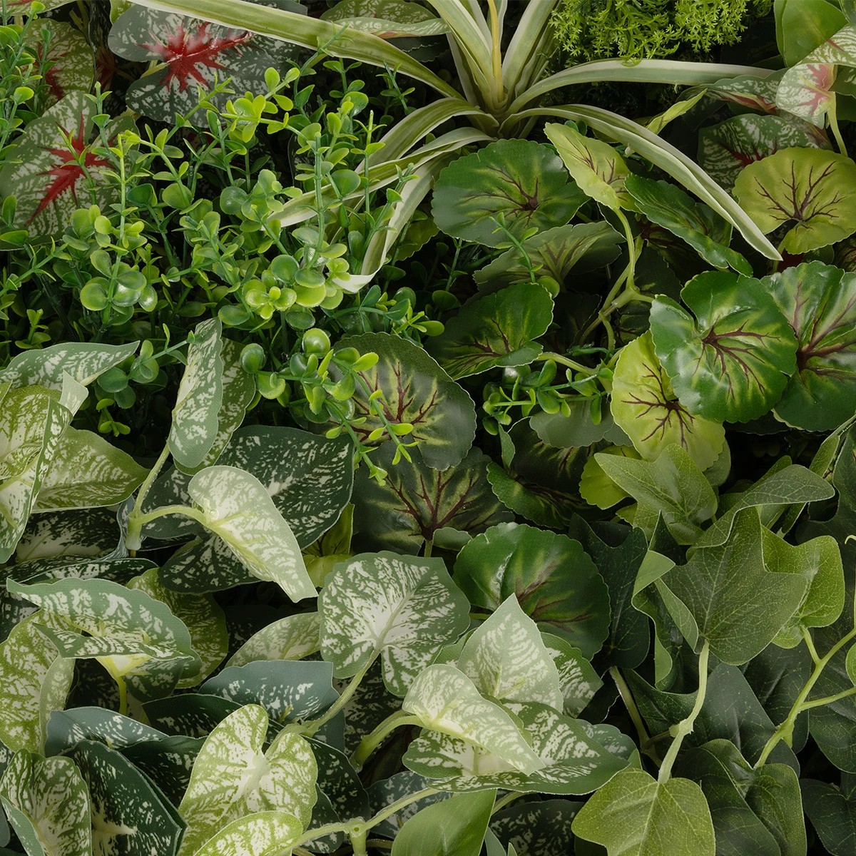 GloboStar® Artificial Garden VARIOUS PLANTS ROUND WALL DISC 20690 Τεχνητό Διακοσμητικό Στρογγυλό Πάνελ Φυλλωσιάς - Κάθετος Κήπος Μιξ Μ80 x Π80 x Υ20cm 6 GloboStar® Artificial Garden VARIOUS PLANTS ROUND WALL DISC 20690 Τεχνητό Διακοσμητικό Στρογγυλό Πάνελ Φυλλωσιάς - Κάθετος Κήπος Μιξ Μ80 x Π80 x Υ20cm - Image 5