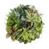 GloboStar® GloboStar® Artificial Garden VARIOUS PLANTS ROUND WALL DISC 20691 Τεχνητό Διακοσμητικό Στρογγυλό Πάνελ Φυλλωσιάς - Κάθετος Κήπος Μιξ Μ60 x Π60 x Υ20cm
