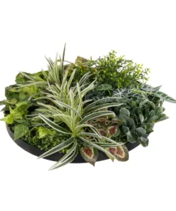 GloboStar® Artificial Garden VARIOUS PLANTS ROUND WALL DISC 20691 Τεχνητό Διακοσμητικό Στρογγυλό Πάνελ Φυλλωσιάς - Κάθετος Κήπος Μιξ Μ60 x Π60 x Υ20cm 12 20691 4