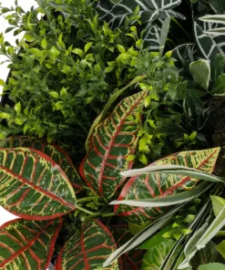 GloboStar® Artificial Garden VARIOUS PLANTS ROUND WALL DISC 20691 Τεχνητό Διακοσμητικό Στρογγυλό Πάνελ Φυλλωσιάς - Κάθετος Κήπος Μιξ Μ60 x Π60 x Υ20cm 13 20691 5