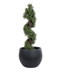 GloboStar® Artificial Garden VITORIA 20701 Διακοσμητικό Πολυεστερικό Τσιμεντένιο Κασπώ Γλάστρα - Flower Pot Μαύρο Φ55 x Υ40cm 16 20701 6