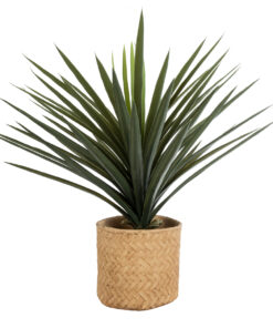 GloboStar® Artificial Garden MEDRANO 20799 ΣΕΤ 2 Διακοσμητικά Πολυεστερικά Τσιμεντένιά Κασπώ Γλάστρες - Flower Pots Μπεζ A:Φ25 x Υ23cm B:Φ25 x Υ23cm 17 20799 6