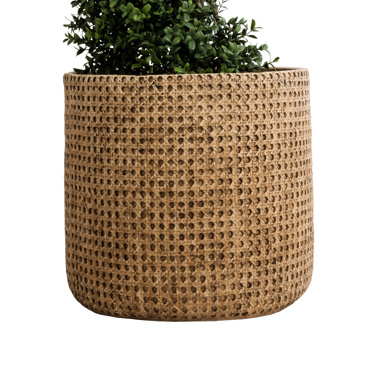 GloboStar® Artificial Garden GIUSEPPE 20800 Διακοσμητικό Πολυεστερικό Τσιμεντένιο Κασπώ Γλάστρα - Flower Pot Καφέ Φ35 x Υ33cm 6 GloboStar® Artificial Garden GIUSEPPE 20800 Διακοσμητικό Πολυεστερικό Τσιμεντένιο Κασπώ Γλάστρα - Flower Pot Καφέ Φ35 x Υ33cm - Image 4