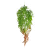 GloboStar® GloboStar® Artificial Garden HANGING FERN 20805 Τεχνητό Διακοσμητικό Κρεμαστό Φυτό Φτέρη Μ40 x Π20 x Υ88cm