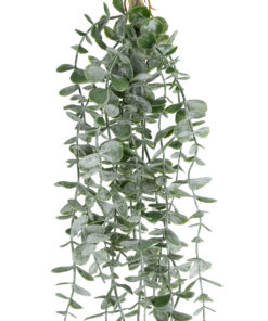 Alternative view of GloboStar® Artificial Garden HANGING EUCALYPTUS 20807 Τεχνητό Διακοσμητικό Κρεμαστό Φυτό Ευκάλυπτος Μ16 x Π9 x Υ105cm