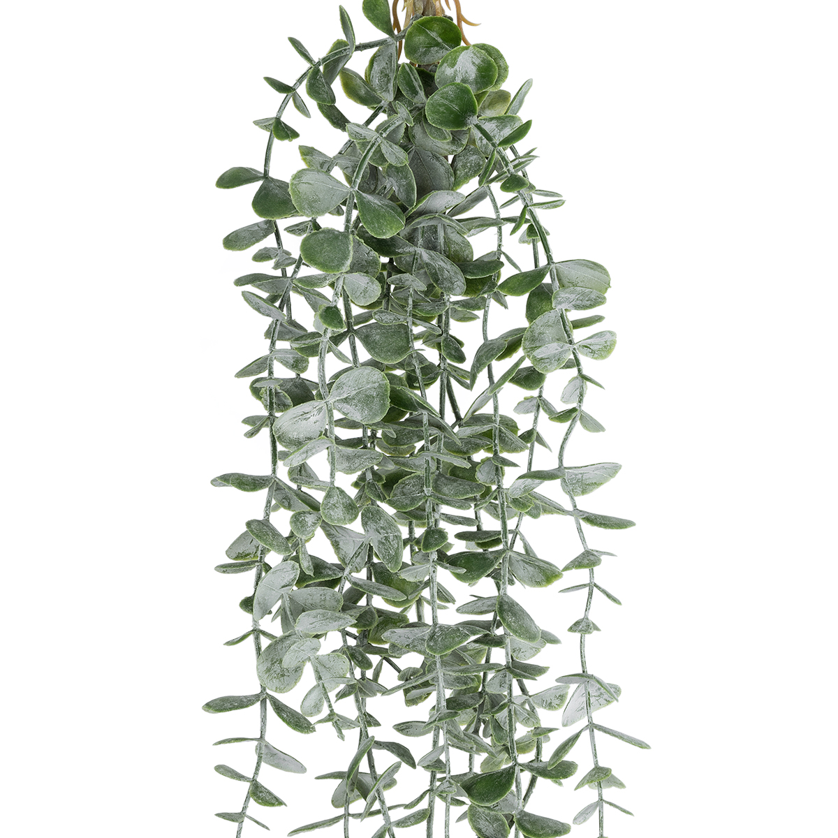 GloboStar® Artificial Garden HANGING EUCALYPTUS 20807 Τεχνητό Διακοσμητικό Κρεμαστό Φυτό Ευκάλυπτος Μ16 x Π9 x Υ105cm 4 GloboStar® Artificial Garden HANGING EUCALYPTUS 20807 Τεχνητό Διακοσμητικό Κρεμαστό Φυτό Ευκάλυπτος Μ16 x Π9 x Υ105cm - Image 2