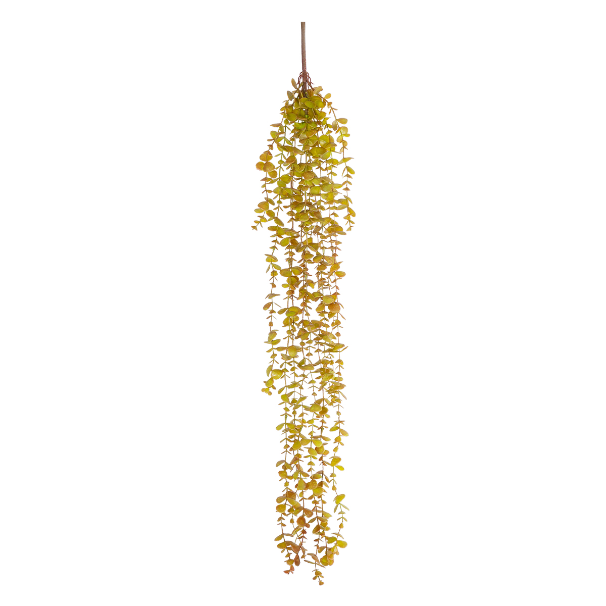 GloboStar® Artificial Garden HANGING EUCALYPTUS 20808 Τεχνητό Διακοσμητικό Κρεμαστό Φυτό Ευκάλυπτος Μ16 x Π9 x Υ105cm 3 GloboStar® GloboStar® Artificial Garden HANGING EUCALYPTUS 20808 Τεχνητό Διακοσμητικό Κρεμαστό Φυτό Ευκάλυπτος Μ16 x Π9 x Υ105cm