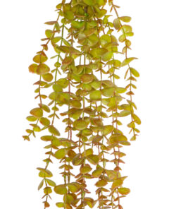 Alternative view of GloboStar® Artificial Garden HANGING EUCALYPTUS 20808 Τεχνητό Διακοσμητικό Κρεμαστό Φυτό Ευκάλυπτος Μ16 x Π9 x Υ105cm