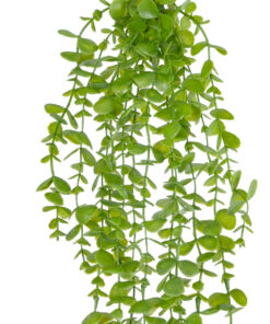 Alternative view of GloboStar® Artificial Garden HANGING EUCALYPTUS 20809 Τεχνητό Διακοσμητικό Κρεμαστό Φυτό Ευκάλυπτος Μ16 x Π9 x Υ105cm
