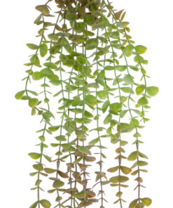 Alternative view of GloboStar® Artificial Garden HANGING EUCALYPTUS 20810 Τεχνητό Διακοσμητικό Κρεμαστό Φυτό Ευκάλυπτος Μ16 x Π9 x Υ105cm