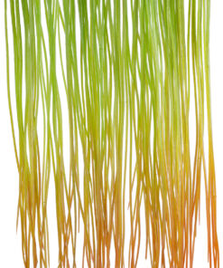 Alternative view of GloboStar® Artificial Garden HANGING GRASS 20815 Τεχνητό Διακοσμητικό Κρεμαστό Φυτό Grass Μ18 x Π4 x Υ81cm
