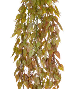 Alternative view of GloboStar® Artificial Garden HANGING LIMA BEAN 20844 Τεχνητό Διακοσμητικό Κρεμαστό Φυτό Φασόλι Λίμα Μ29 x Π10 x Υ86cm