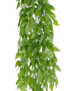 Alternative view of GloboStar® Artificial Garden HANGING LIMA BEAN 20845 Τεχνητό Διακοσμητικό Κρεμαστό Φυτό Φασόλι Λίμα Μ29 x Π10 x Υ86cm