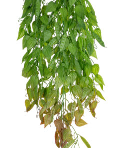 Alternative view of GloboStar® Artificial Garden HANGING LIMA BEAN 20846 Τεχνητό Διακοσμητικό Κρεμαστό Φυτό Φασόλι Λίμα Μ29 x Π10 x Υ86cm