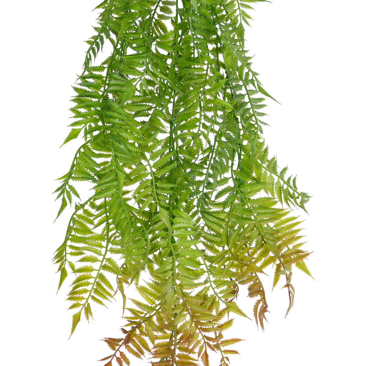 GloboStar® Artificial Garden HANGING FERN 20854 Τεχνητό Διακοσμητικό Κρεμαστό Φυτό Φτέρη Μ30 x Π14 x Υ85cm 4 GloboStar® Artificial Garden HANGING FERN 20854 Τεχνητό Διακοσμητικό Κρεμαστό Φυτό Φτέρη Μ30 x Π14 x Υ85cm - Image 2