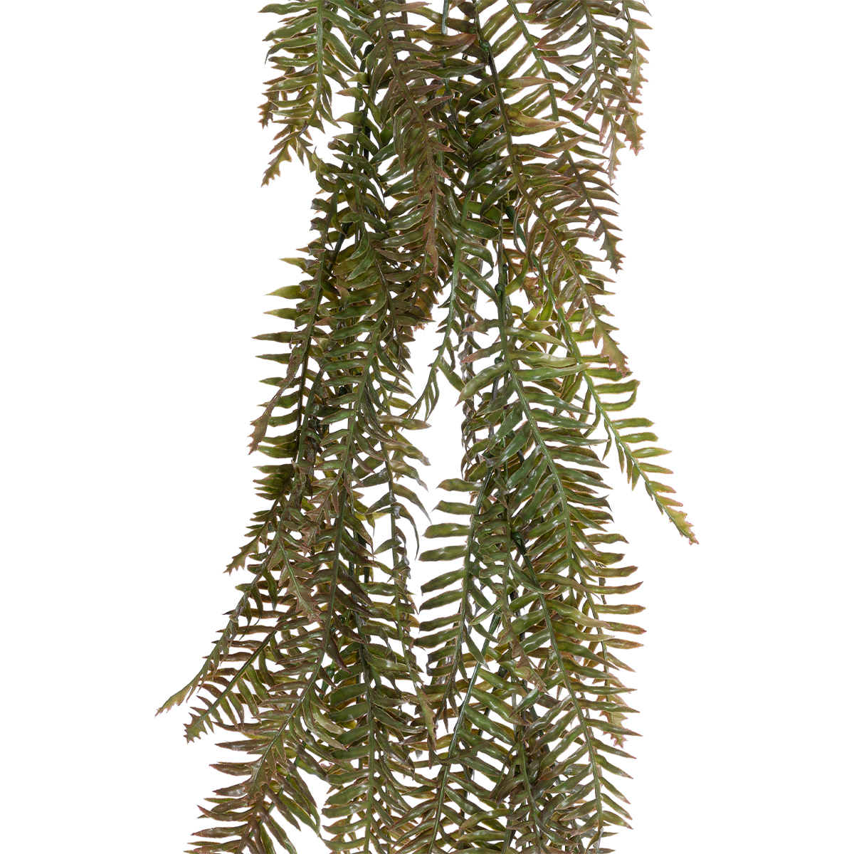 GloboStar® Artificial Garden HANGING FERN 20860 Τεχνητό Διακοσμητικό Κρεμαστό Φυτό Φτέρη Μ28 x Π15 x Υ90cm 4 GloboStar® Artificial Garden HANGING FERN 20860 Τεχνητό Διακοσμητικό Κρεμαστό Φυτό Φτέρη Μ28 x Π15 x Υ90cm - Image 2
