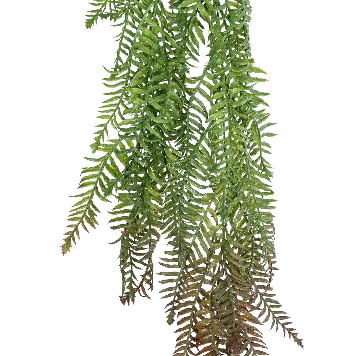 GloboStar® Artificial Garden HANGING FERN 20862 Τεχνητό Διακοσμητικό Κρεμαστό Φυτό Φτέρη Μ28 x Π15 x Υ90cm 4 GloboStar® Artificial Garden HANGING FERN 20862 Τεχνητό Διακοσμητικό Κρεμαστό Φυτό Φτέρη Μ28 x Π15 x Υ90cm - Image 2