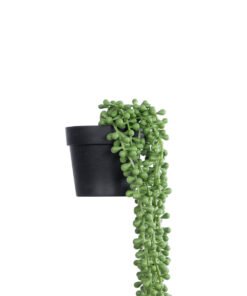 GloboStar® Artificial Garden HANGING LOVER'S TEARS 20875 - Τεχνητό Κρεμαστό Διακοσμητικό Φυτό Lover's Tears Φ14 x Y70cm 9 20875 4
