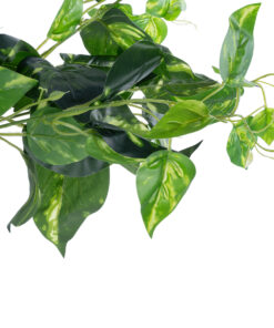 Alternative view of GloboStar® Artificial Garden POTHOS PINEAPPLE 20885 Τεχνητό Διακοσμητικό Φυτό Πόθος Ανανά Φ60 x Υ33cm