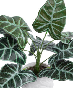 Alternative view of GloboStar® Artificial Garden ALOCASIA 20886 Τεχνητό Διακοσμητικό Φυτό Αλοκασία Φ38 x Υ33cm