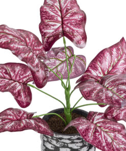 Alternative view of GloboStar® Artificial Garden RED POLKA 20887 Τεχνητό Διακοσμητικό Φυτό Κόκκινη Πόλκα Φ38 x Υ33cm