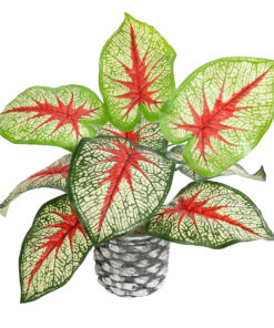 GloboStar® GloboStar® Artificial Garden CALADIUM 20891 Τεχνητό Διακοσμητικό Φυτό Τροπικό Φυτό Καλάδιο Φ40 x Υ33cm